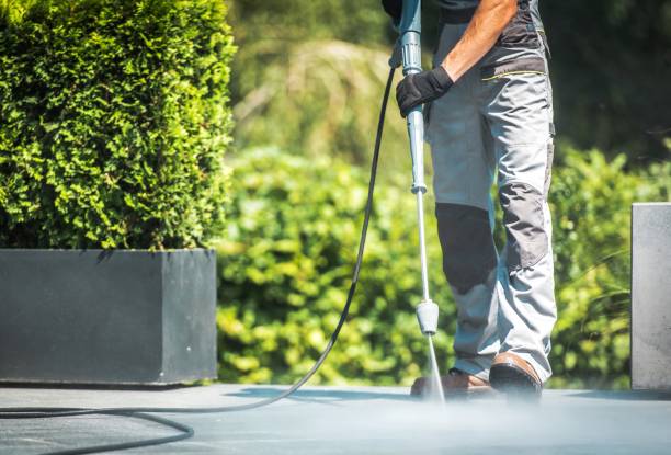 Solar Panel Cleaning in Wake Village, TX